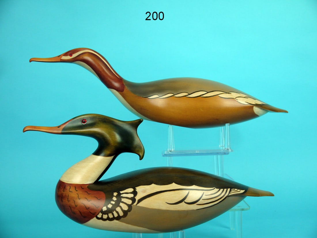 RED-BREASTED MERGANSER PAIR, B. SCHELL (1 of 4)