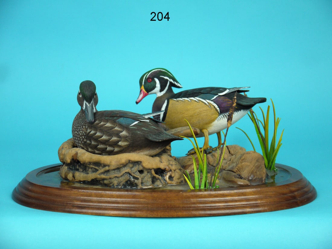 MINIATURE WOOD DUCKS, L. TAWES (1 of 2)