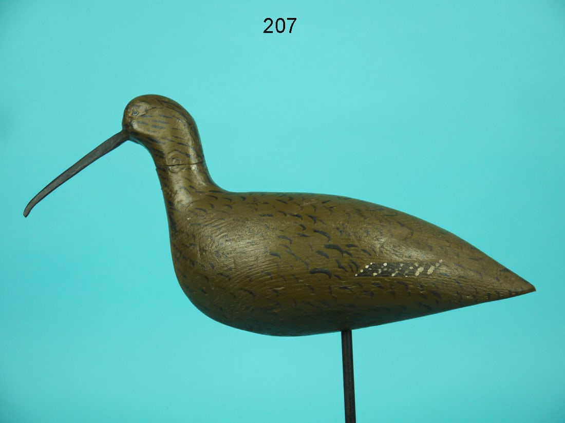 CURLEW, B. ANNIS (1 of 4)