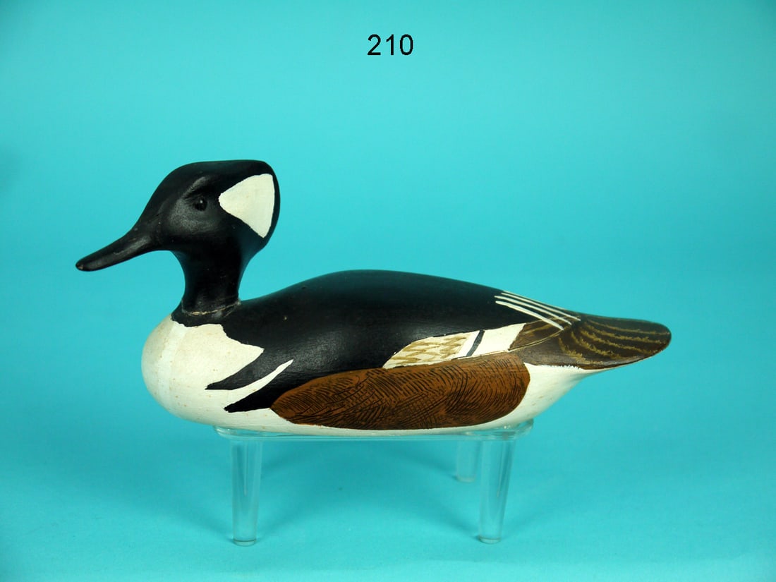 MINIATURE HOODED MERGANSER DRAKE, H. DAISEY (1 of 4)