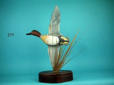 FLYING GREEN WING TEAL DRAKE, M. DAISEY