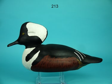 HOODED MERGANSER DRAKE, C.E. HUTSON, JR.