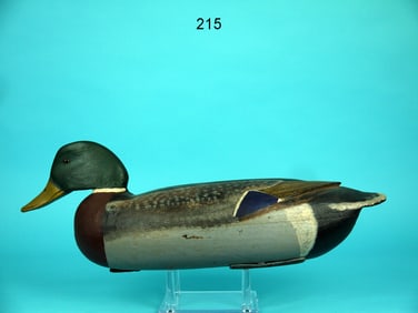 MALLARD DRAKE, C. SEIDEL