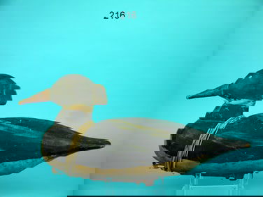 RED-BREASTED MERGANSER, VIRGINIA