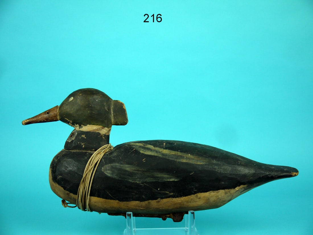 RED-BREASTED MERGANSER, VIRGINIA (1 of 4)