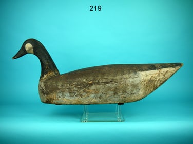 CANADA GOOSE, CHINCOTEAGUE, VA