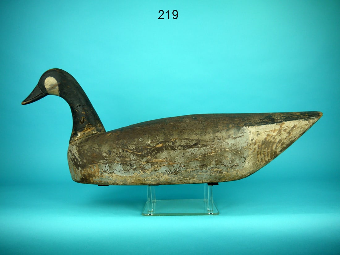 CANADA GOOSE, CHINCOTEAGUE, VA (1 of 4)