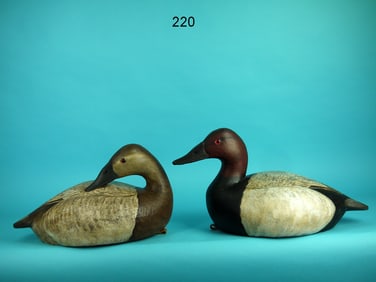 CANVASBACK PAIR, R. BIRCH