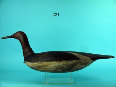 RED-THROATED LOON, R. BIRCH