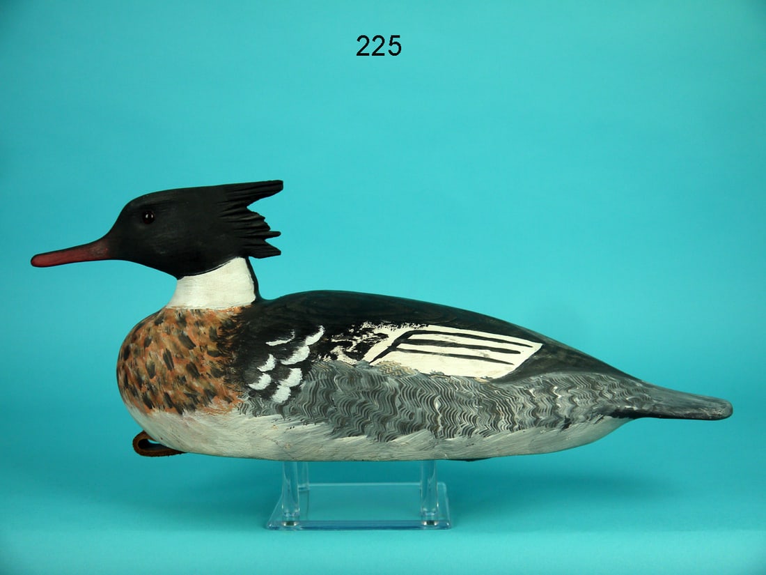 RED-BREASTED MERGANSER DRAKE, D. DAISEY (1 of 4)