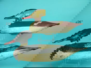 RED-BREASTED MERGANSER PAIR, M. HANCOCK