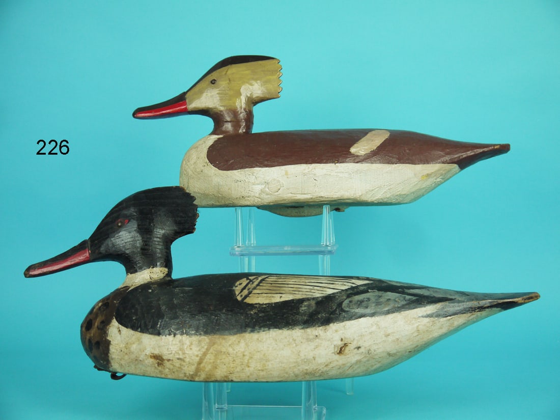 RED-BREASTED MERGANSER PAIR, M. HANCOCK (1 of 4)