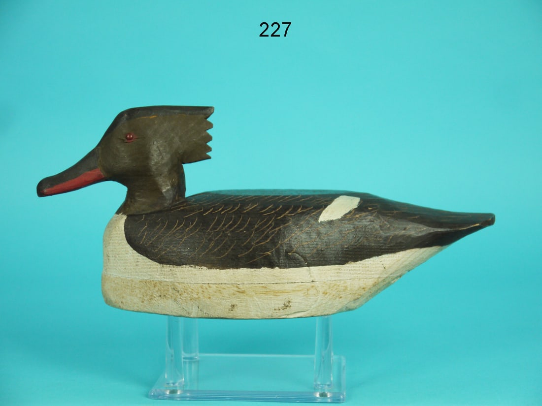 ONE-THIRD SIZE RED-BREASTED MERGANSER HEN, M. HANCOCK (1 of 4)