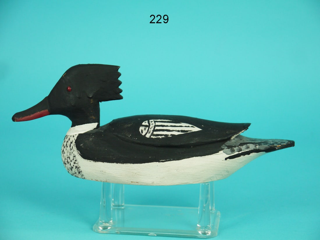 MINIATURE RED-BREASTED MERGANSER (1 of 4)