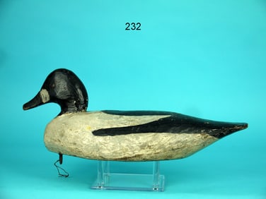 GOLDENEYE DRAKE, M. HANCOCK