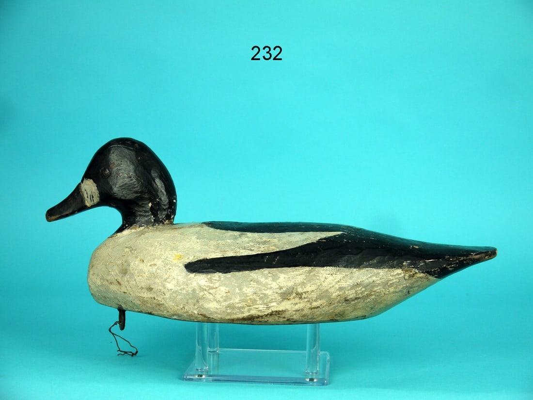 GOLDENEYE DRAKE, M. HANCOCK (1 of 4)