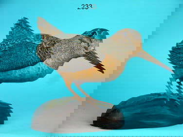 WOODCOCK, D. HAWTHORNE