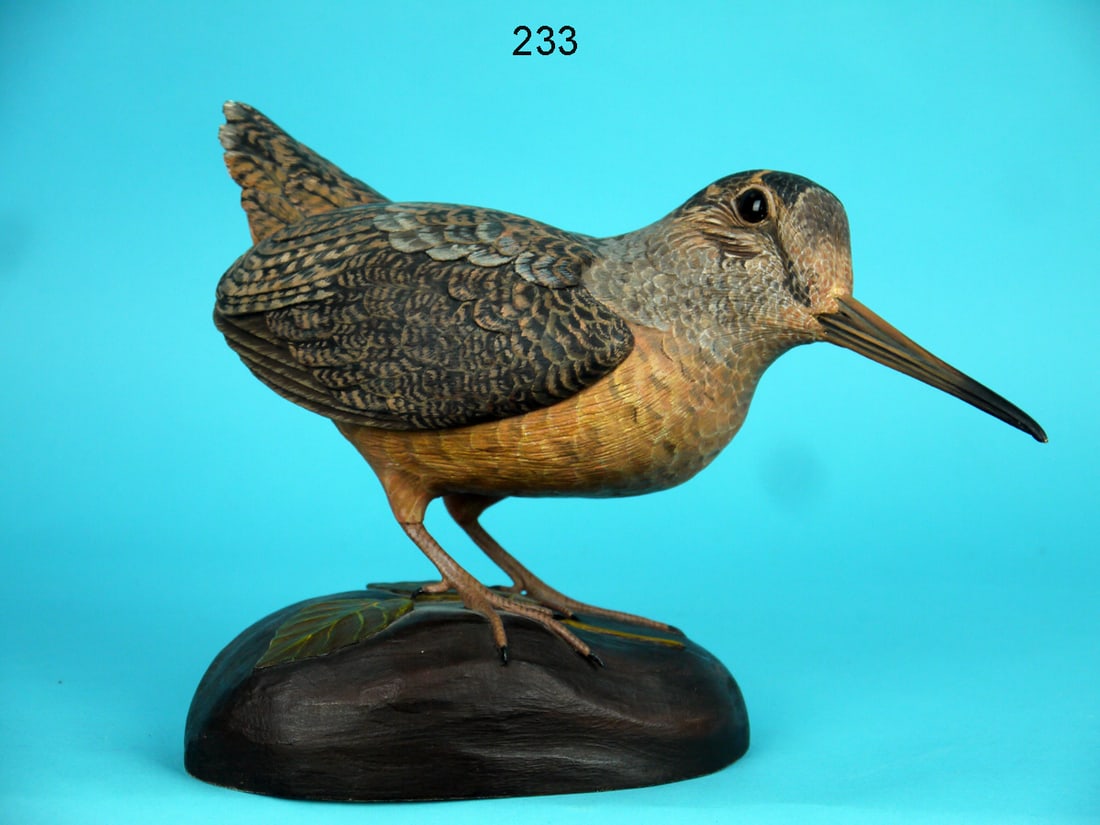 WOODCOCK, D. HAWTHORNE: VERY FINE WOODCOCK by Davison Hawthorne, Salisbury, MD. Life-size carving in excellent original paint and structural condition. Very detailed carved and painted feather work overall. Relief-carved win