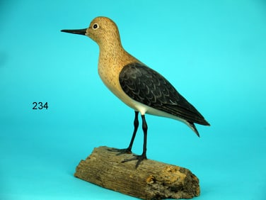 SANDERLING, D. HAWTHORNE