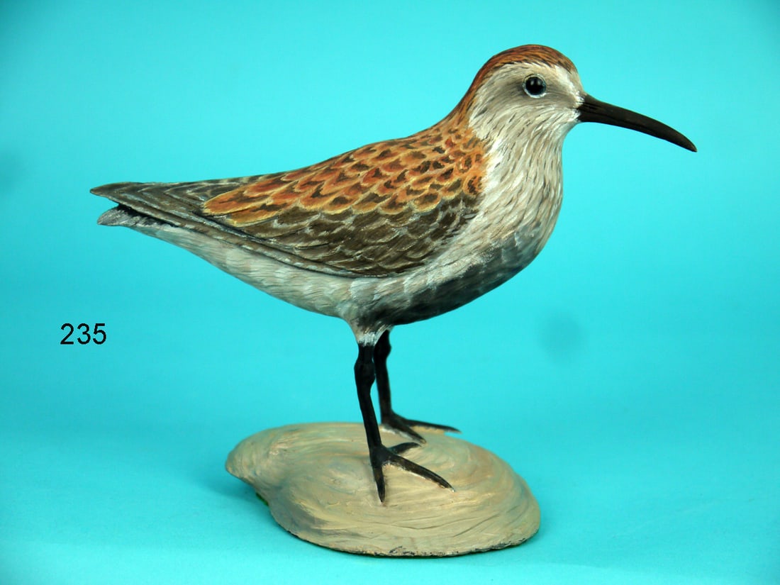 DUNLIN, D. HAWTHORNE (1 of 2)