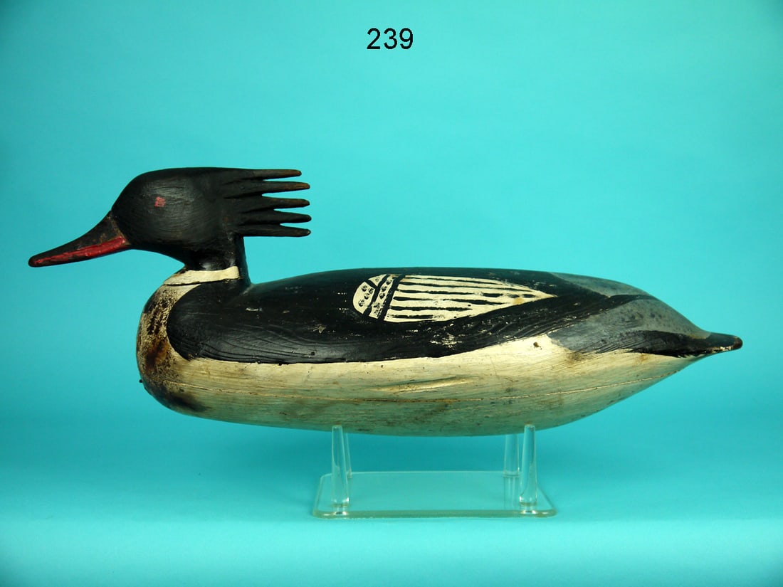 RED-BREASTED MERGANSER DRAKE, D. JESTER (1 of 4)