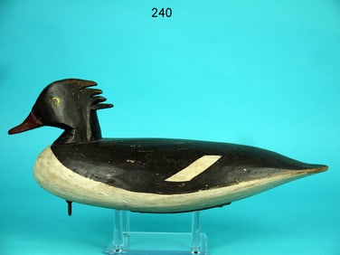 RED-BREASTED MERGANSER HEN, D. JESTER