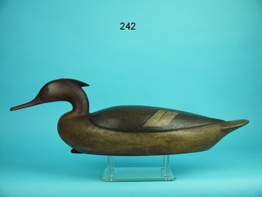 AMERICAN MERGANSER HEN, M. MCNAIR