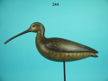 CURLEW, M. MCNAIR