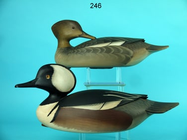 HOODED MERGANSER PAIR, G. STRUNK