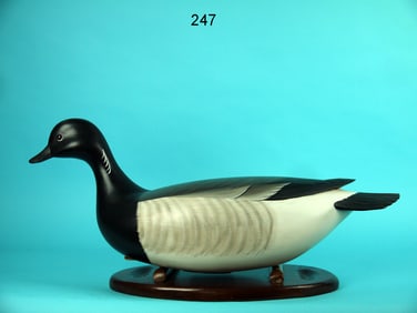 SWIMMING BRANT, G. STRUNK