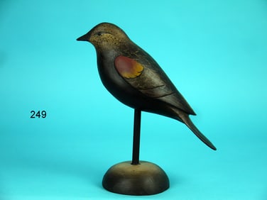 BLACK BIRD, B. WHITE