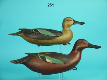 CINNAMON TEAL PAIR, B. WHITE