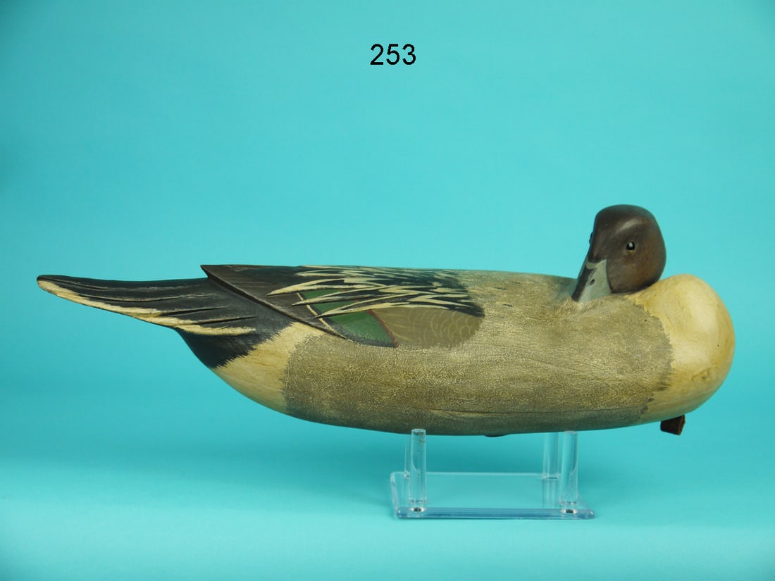 PINTAIL DRAKE, B. WHITE (1 of 4)
