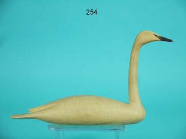 MINIATURE HIGH-HEAD SWAN, B. WHITE