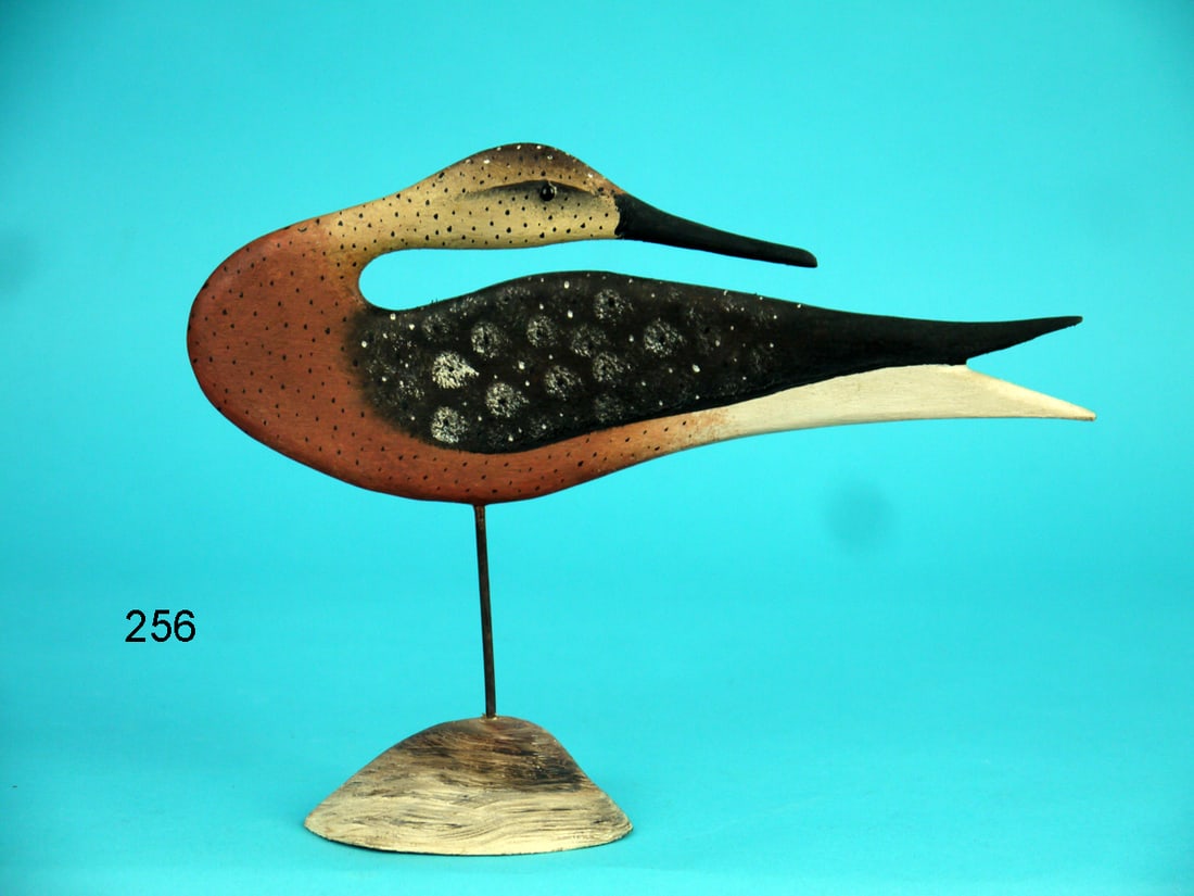 DOWITCHER, B.WHITE (1 of 3)