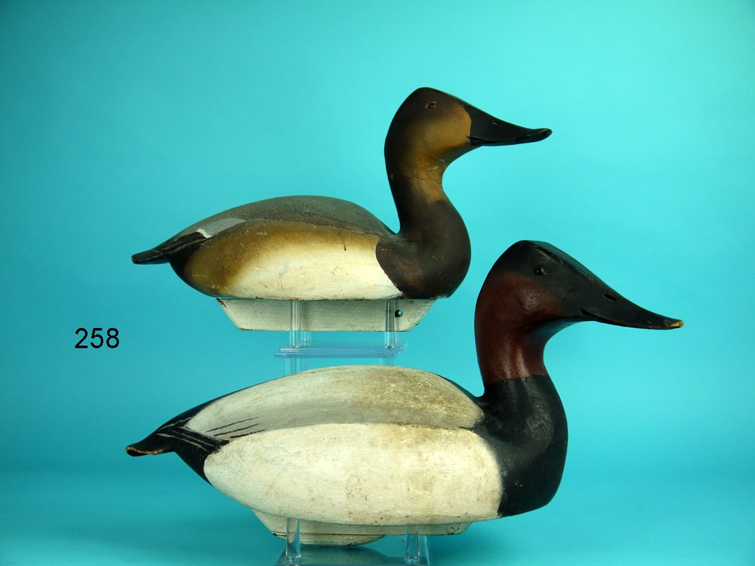 CANVASBACK PAIR, WARD BROS. (1 of 4)