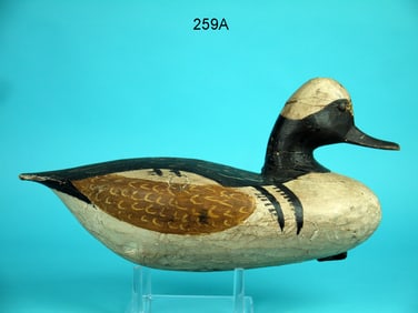 HOODED MERGANSER DRAKE , I. HUDSON