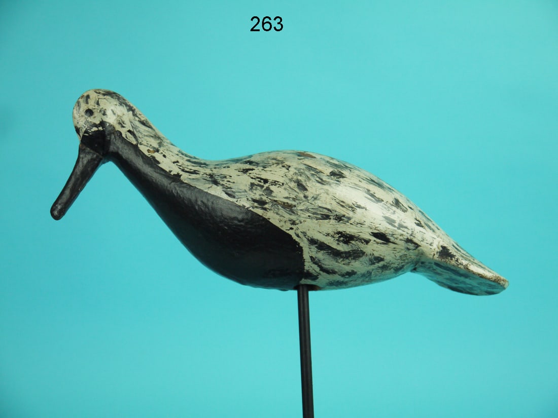 BLACK-BELLIED PLOVER, C. CLARK (1 of 4)