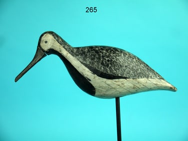 BLACK-BELLIED PLOVER, EASTERN SHORE