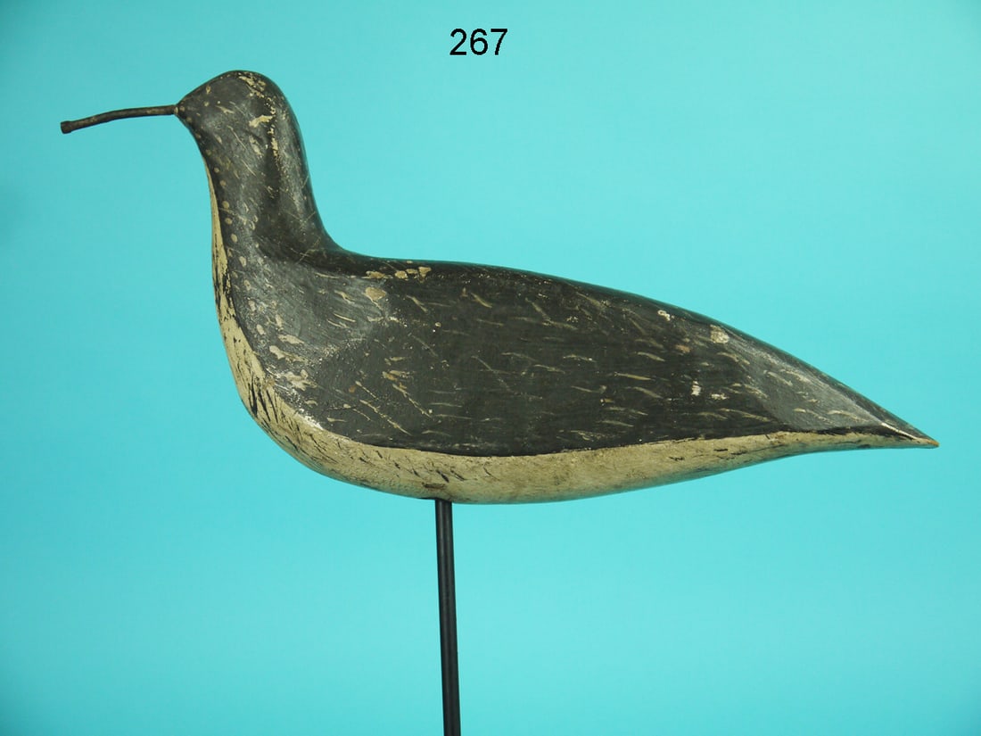 EARLY SHOREBIRD, NEW JERSEY (1 of 4)