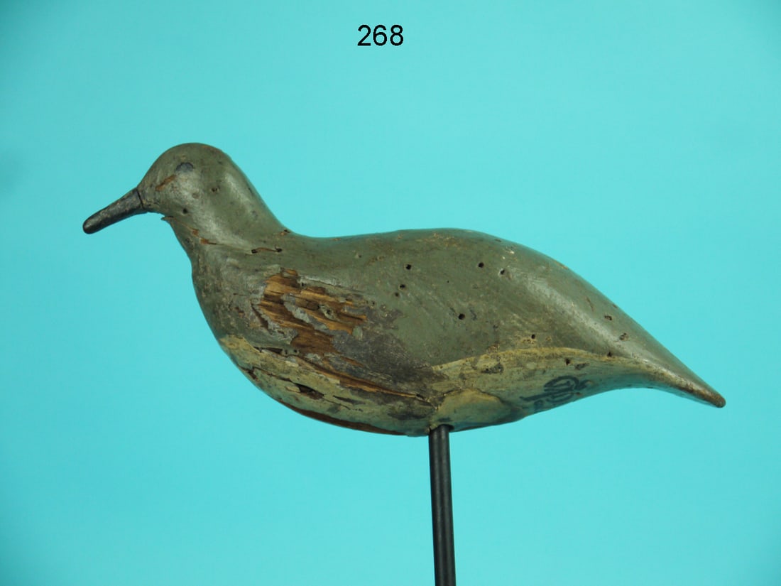 EARLY SHOREBIRD, NJ (1 of 4)