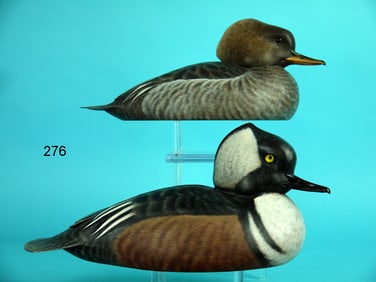 HOODED MERGANSER PAIR, D. BRIDDELL