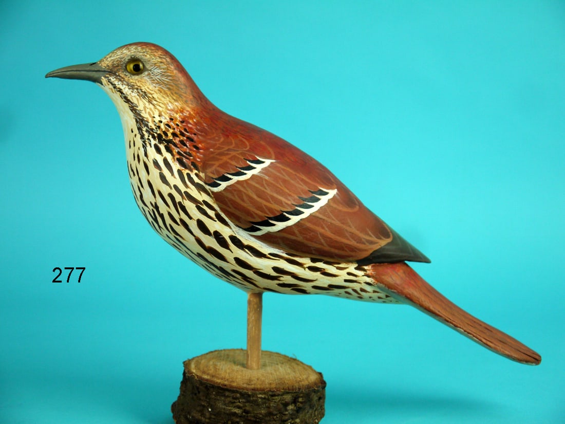 BROWN THRASHER, J. WOOD (1 of 4)