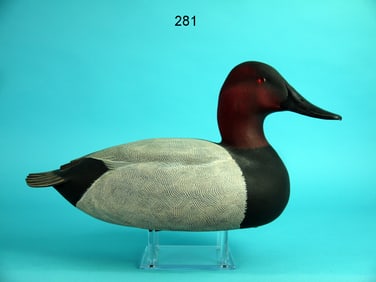 CANVASBACK DRAKE, J. WOOD
