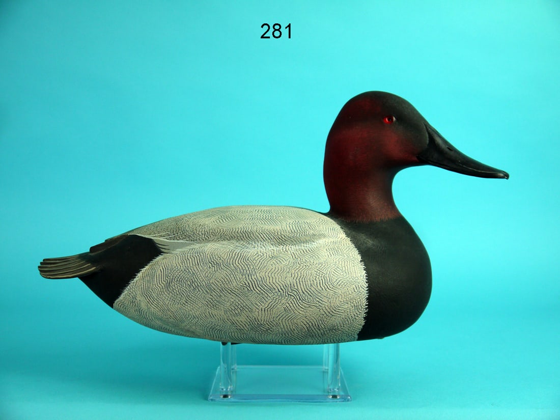CANVASBACK DRAKE, J. WOOD (1 of 4)