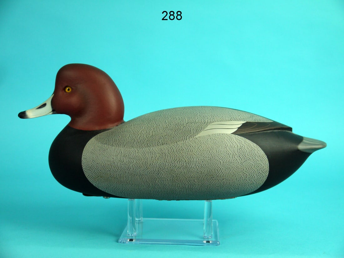 REDHEAD DRAKE, C.R. MARTER, JR. (1 of 4)