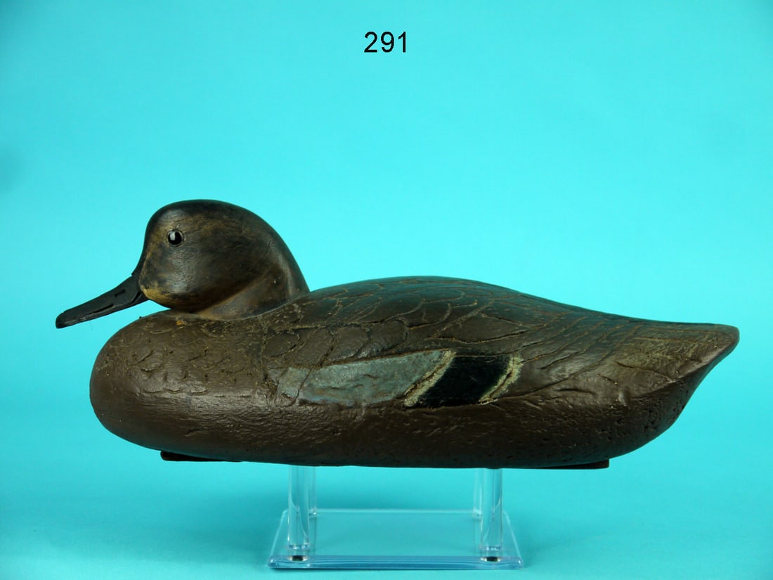 BLUE WING TEAL HEN, H. BACON, JR. (1 of 4)