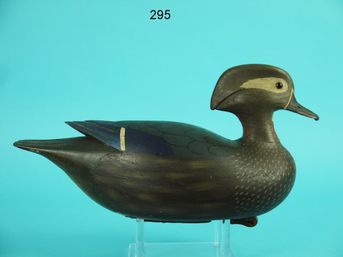 WOOD DUCK HEN, J. EGELI (1 of 4)