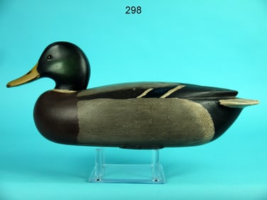MALLARD DRAKE, R. LIBENSPERGER