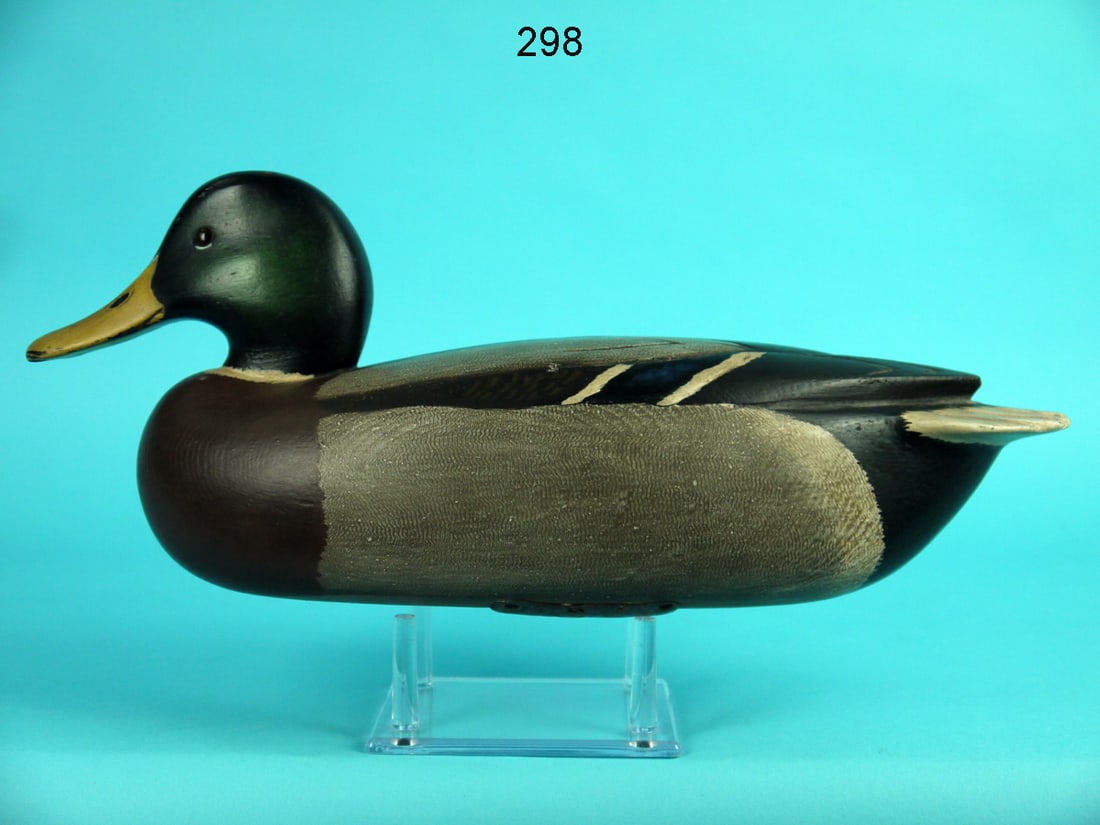 MALLARD DRAKE, R. LIBENSPERGER (1 of 4)